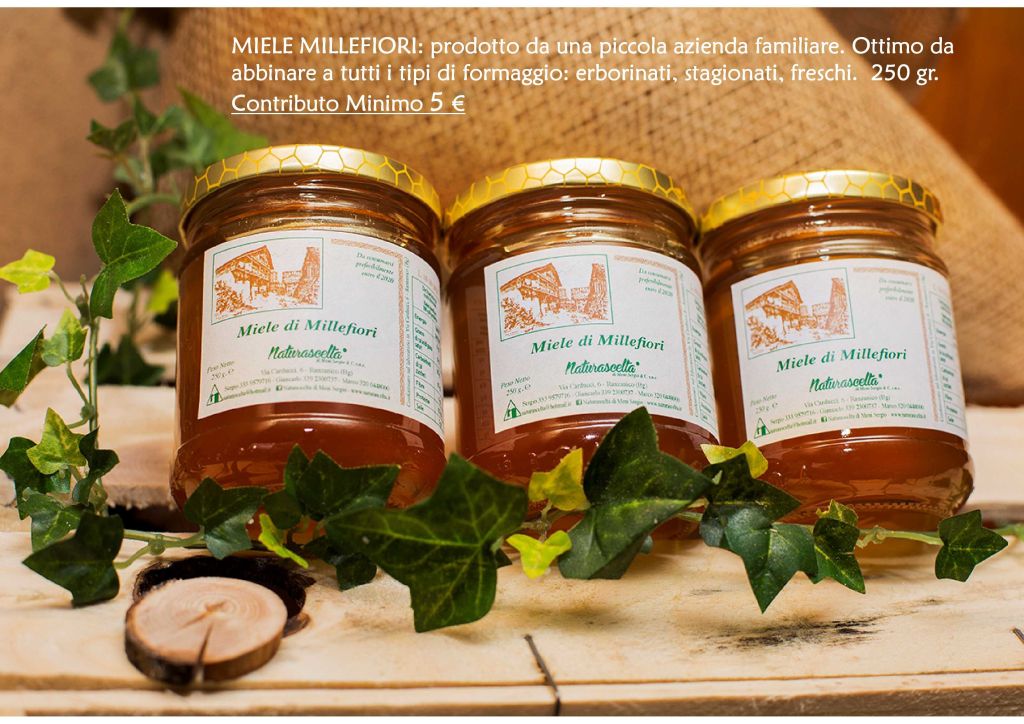 web Catalogo Natale 201810